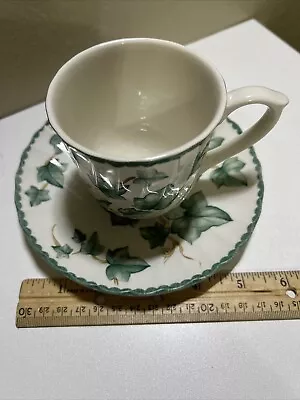 Buy BHS - Country Vine - Teacup And Saucer - 98436G • 12.54£