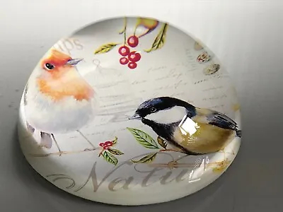 Buy Clear Domed Art Glass Paperweight With British Robin & Blue-tit Birds Picture • 7.99£
