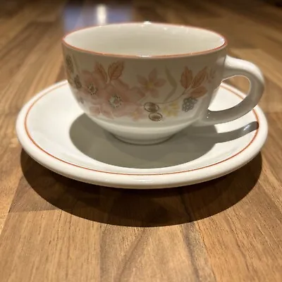 Buy Vintage Retro Boots Hedge Rose Cup & Saucer 1980s Floral • 3.49£