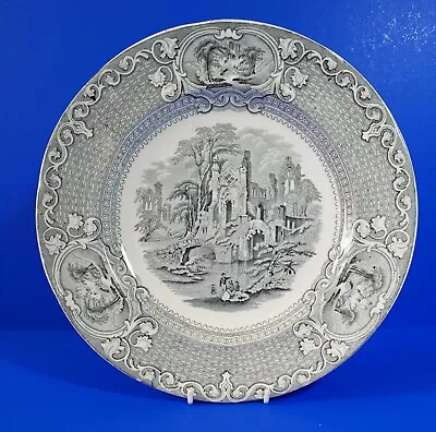 Buy Antique Livesley Powell & Co. Grey Abbey Ironstone Plate 26.5.cm In Diameter. • 10£