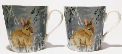 Buy Tesco 2 Rabbit Mugs • 13.99£
