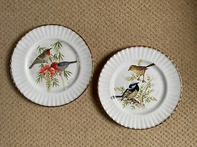 Buy Decorative Plates With Birds, Royal Vale Bone China, Set Of Two • 5£