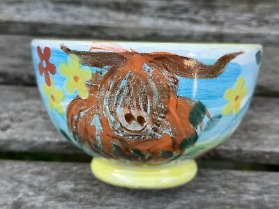 Buy Unusual Tain Scotland Studio Pottery Highland Cattle Hand Decorated Bowl A1 Cond • 18.50£
