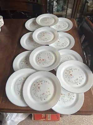 Buy X 13 Lovely Vintage Pyrex Plates 8.5” • 25£