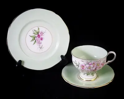Buy Vintage Paragon China Double Warrant FLORAL Tea Cup Saucer & Plate Trio A1428 • 19.99£