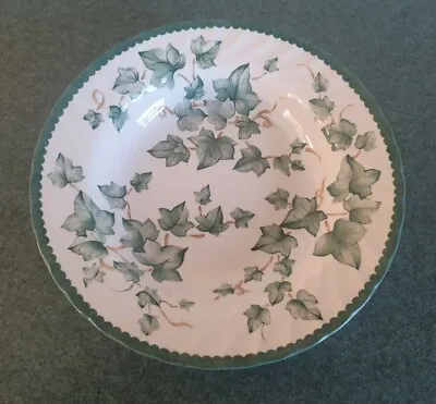 Buy  Bhs Country Vine Soup/cereal Rimmed  Bowl Vgc • 7.99£