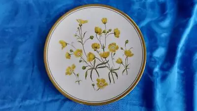 Buy Spode China -Wildflower Series Collectors  Plate Buttercup 24 Cm Diam • 9.98£
