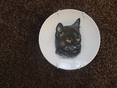 Buy Poole Pottery Cat Plate • 3.50£