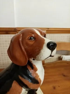 Buy Beswick Stunning Large Beagle Fireside Figurine Needs New Home • 60£