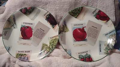 Buy Seed Packets By Poole Pottery Dinner Plate Pepper Seed Packet Green Trim #27&12 • 37.89£
