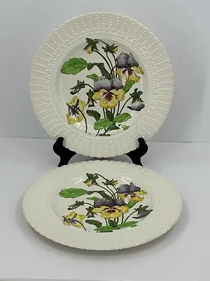 Buy Antique Cauldon England 2477 China Botanical 9.75” Plates (Set Of 2) EUC • 42.68£