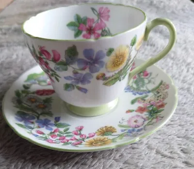 Buy Wonderful Floral Shelley  13492 Hedgerow ( Green Trim) Cup And Saucer  • 11.50£