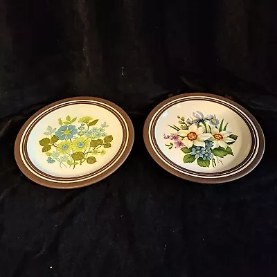 Buy 2 X Hornsea Pottery Lancaster Vitramic 6  Small Plates  Flower Floral • 6.99£