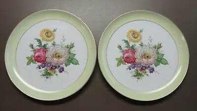 Buy 2 Vintage AK/Alboth& Kaiser WEST GERMANY Porcelain China 11  FLORAL PLATES Green • 47.49£