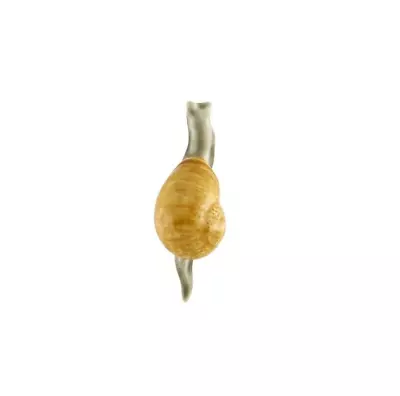 Buy Ceramic Magnet Snail By Bordallo Pinheiro Made In Portugal • 20.04£