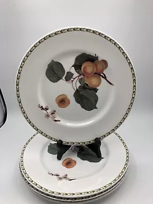 Buy Queens China Hookers Fruit Dinner Plate 10 3/4  Apricot Made In England Set Of 4 • 42.89£