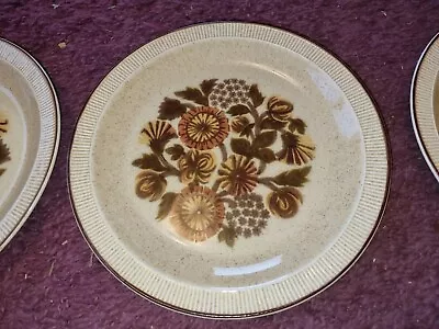 Buy 6 Beautiful Vintage Poole Pottery Thistlewood 25cm Dinner Plates • 8.99£