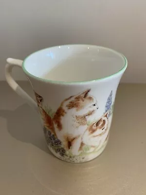 Buy Queen’s Staffordshire China Cat Mug • 5£