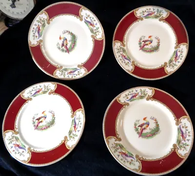 Buy Set Of 4 Vintage Myott Staffordshire Chelsea Red Bird 2380 Dinner Plates 10 5/8” • 94.83£