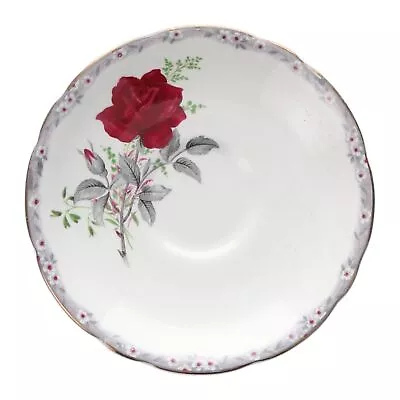 Buy Royal Stafford - Roses To Remember - Red - Coffee Saucer - 255424Y • 5.15£