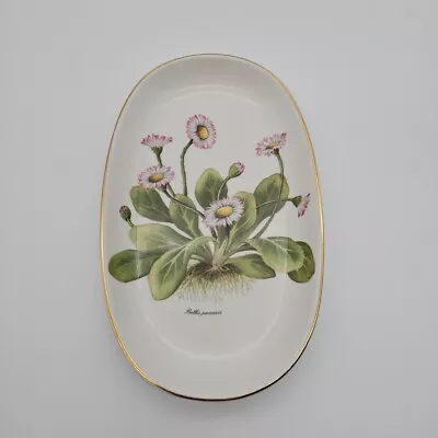 Buy Royal Vale Oval Dish Trinket Tray Bellis Perennis 9 X 5.5  Floral Design Home  • 9.99£