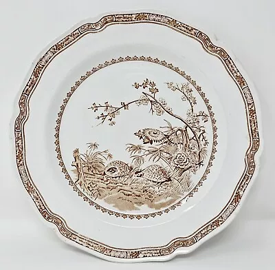 Buy Furnivals Antique Quail Brown Dinner Plate 10  1913 Made In England #684771 • 20.70£