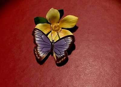 Buy Franklin Mint Butterflies Of The World 1985 Australian Beak Porcelain Butterfly • 8.50£