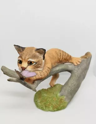 Buy 1985 Franklin Mint CAPTIVATED Lynx Bobcat With Butterfly Fine Porcelain Figurine • 19.97£