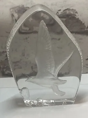 Buy Crystal Glass Wedgewood Etched Glass Paperweight Seagull In Flight • 11.96£