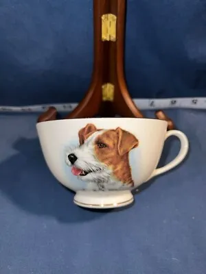Buy Jack Russell Terrier Vintage 1950’s Mustache Cup - Royal Grafton Fine Bone China • 19£