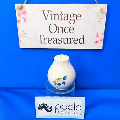 Buy Poole Pottery CRANBORNE * Shaker PEPPER POT * Vintage 1990s VGC • 12.50£