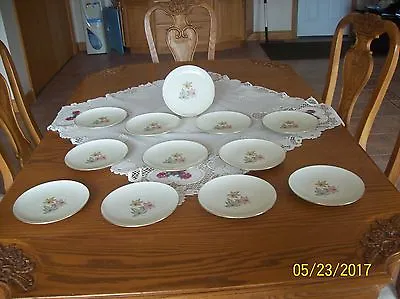 Buy Thomas Germany Rosenthal Porcelain Vintage 12 Luncheon Plates Autumn Leaf Design • 123.28£