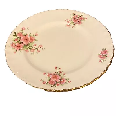 Buy 1 Vintage Art Deco Grindley Cream Petal Pink Blossom Dinner Plate 25cm Diameter • 14.49£