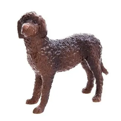 Buy John Beswick Collectors Dog Figurine - Chocolate Labradoodle • 39.99£