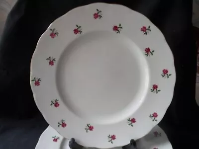 Buy Colclough Bone China Fragrance - Pink Rose Bud  -8 Inch Salad Plate • 5£