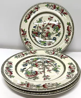 Buy Vintage Johnson Brothers Indian Tree Dinner Plate X 4 Plates Set Blossom 9  • 29.99£