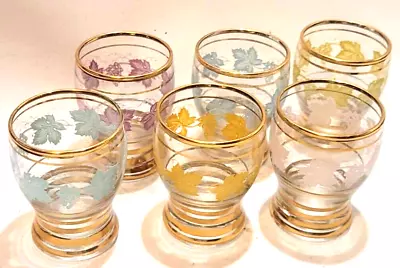 Buy 6 Vintage 1950s Coloured Shot Glasses With Gold Trim Vine Grapes Detail • 14.99£