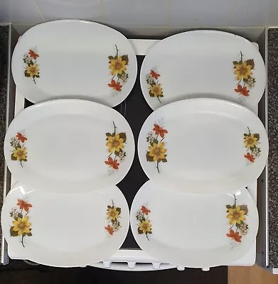Buy 6x VINTAGE Pyrex Oval Steak Plates Autumn Gold, Serving Plates Tableware (A7) • 20£
