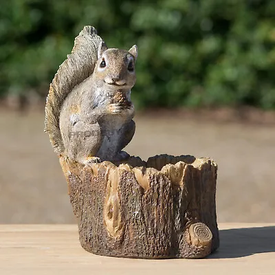 Buy Squirrel Feeder Resin Outdoor Garden Ornament Statue Bird Feed Food Animal Lawn • 28£