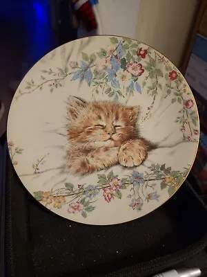 Buy Vintage Royal Worcester Plate Collection Cat Nap Bone China Collectors Plate  • 8.99£