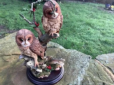 Buy Country Artists Pair Of Owls Limited Edition • 75£