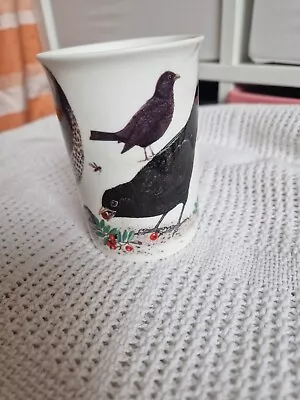 Buy Roy Kirkham Vintage Garden Birds Mug • 1.99£