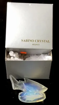 Buy Sabino Glass Fish With Original Box • 125£
