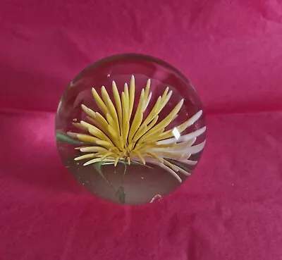Buy Small Yellow Flower Paperweight • 3.99£