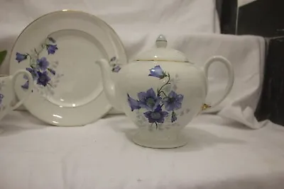 Buy 10852] Lovely Vintage Myott China Tea Set Inc Tea Pot Blue Flowers 19 Pieces • 40£