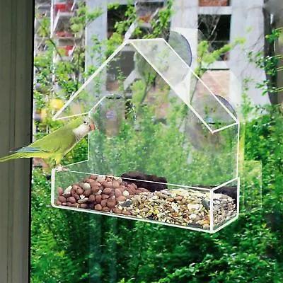 Buy Glass Window Clear Viewing Bird Feeder Table Seed Peanut Hanging Suction Perspex • 6.19£