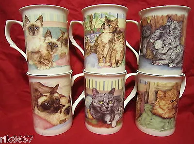 Buy Set Of 6 Mugs Pillow Talk Cats N Kittens Fine Bone China Mugs Cups Beakers • 25.99£