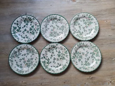 Buy 6 BHS Country Dinner Plates 10.25  10.5  Large Ivy Christmas Garden Set Vintage • 44.99£