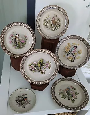 Buy Five X Purbeck Pottery Plates Plus 1 X Smaller Plate  • 10£