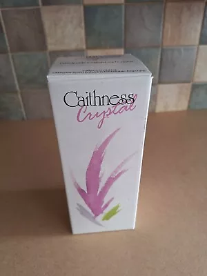 Buy Caithness Crystal Glass Vase With Pink Swirls 18 Cm Tall In Original Box • 5.50£
